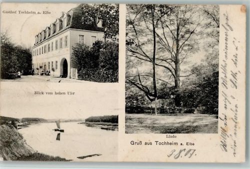Tochheim 1908 Gasthof , große Linde / Bäume