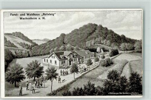 67098 W6706 Wachenheim an der Weinstraße Künstlerkarte Forst- und Waldhaus Rotsteig sign. V. Dirönn
