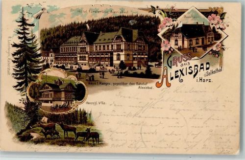 Alexisbad 1899 Gruss aus - Hotel Försterling, Badehaus, herzogl. Villa AK