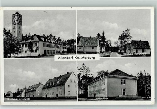 35260 W3570 Stadtallendorf 1953 - Siedlung Herrenwald, Heim, Waldschule AK