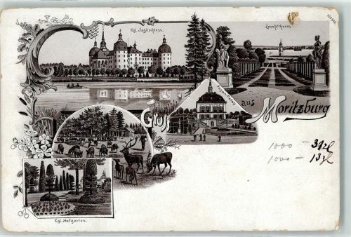 01468 O8105 Moritzburg b Dresden Lithographie Kgl. Hofgarten Leuchtturm Kgl. Jagdschloß Wildfütterung Muster Nr. 2
