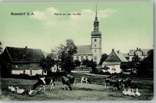 Limbach-Oberfrohna Rußdorf An der Kirche Rinderweide Enten