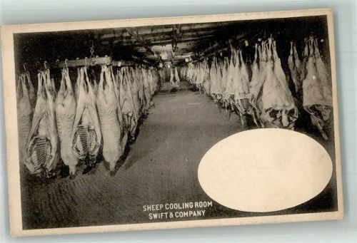 Sheep Cooling Room Sfift & Company Industrie