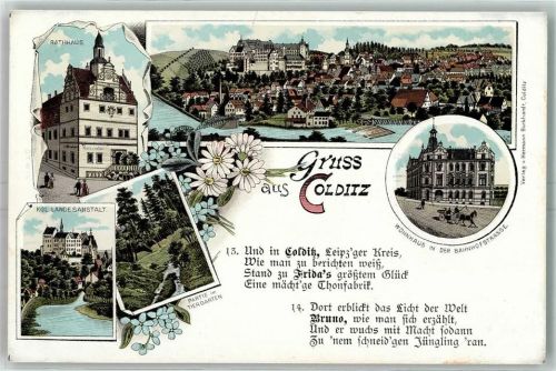 Colditz Rathaus Kgl Landesanstalt Partie im Tiergarten Wohnhaus in der Bahnhofstraße