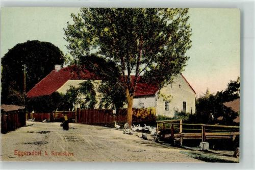 Eggersdorf Gänse