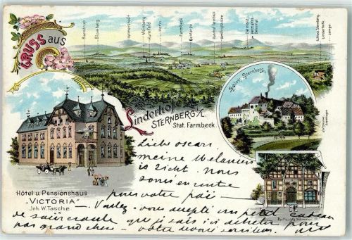 32699 W4923 Linderhofe 1899 Lithographie Hotel Pension Victoria W. Tasche Schloss Sternberg Kaufhaus G. Vehmeier