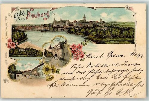 86633 W8858 Neuburg a d Donau 1897 Lithographie Graf v. Moy Schlösschen Luitpold Straße Oberes Stadttor