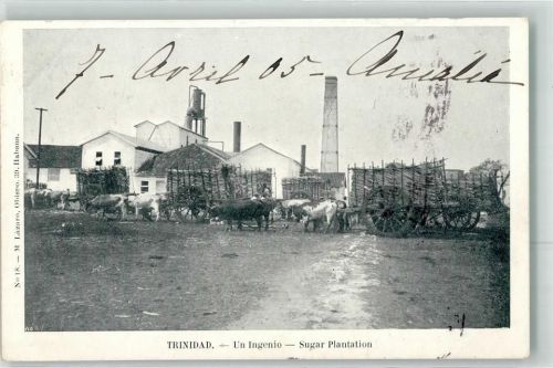 1905 un Ingenio Sugar Plantation