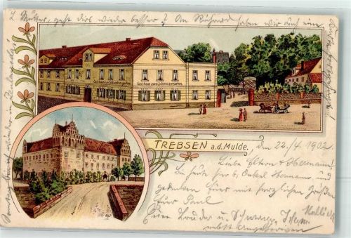 Trebsen 1902 Gasthaus zunm Schweizergarten Schloß Trebsen