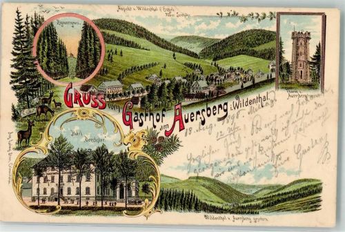 Auersberg 1898 Hotel Drechsler Rehe Zigeunergrund Auersbergturm