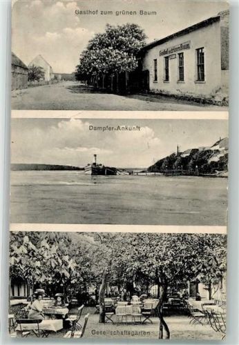 Hohenwarthe 1907 Gasthaus Zum grünen Baum Heinrich Dedens Dampfer Ankunft