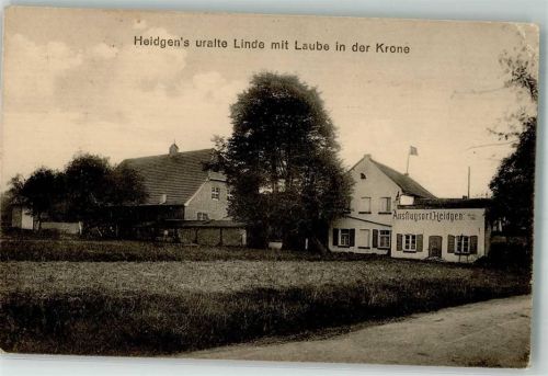 50667 W5000 Köln Dellbrück 905 1916 Foto AK Gasthaus Heidgen's Linde-Baumplattform