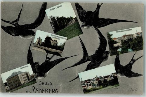 Radeberg Schwalben Röderbrücke Schoß Klippenstein Knabenschule