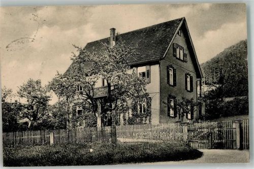 Klosterreichenbach Pension Ernst Mast Baumblüte Foto AK