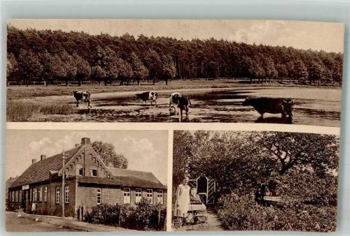 19406 O2724 Dabel Foto AK Gasthaus-Pension Bentfeldt Garten Kühe im Fluss