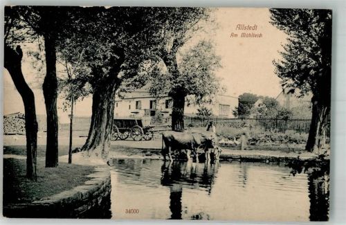 06542 O4702 Allstedt - Am Mühlteich Rindertränke