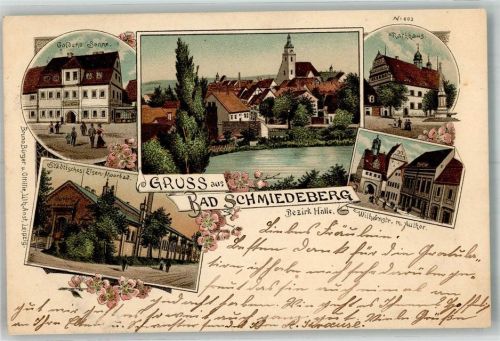 Bad Schmiedeberg 1898 Autor Wilhemstrasse Städt. Eisen-Moorbad Rathaus Gasthaus Goldene Sonne