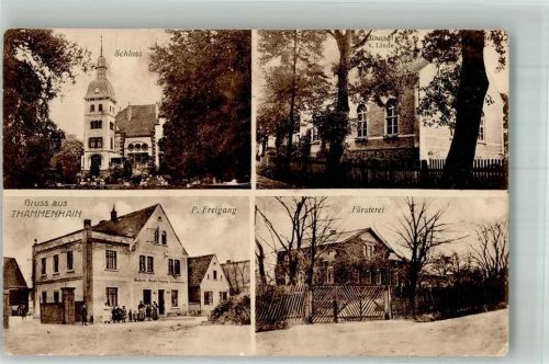 Thammenhain 1917 Schloss Gasthaus zur Linde Gasthaus Freigang Försterei Feldpost
