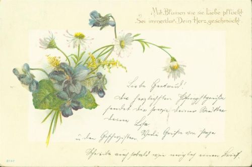 1900 Veilchen Gänseblümchen Auflage mit echten kleinen Perlen