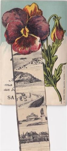 Saint-Malo ausziehbarer Papierstreifen Blume