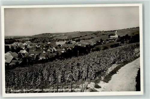 Auggen Weinrebberge