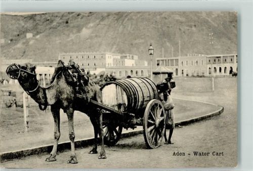 Aden Wasserkarren Kamel
