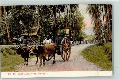 Penang Ochsengespann