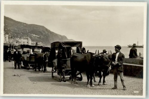 Funchal Ochsenschlitten