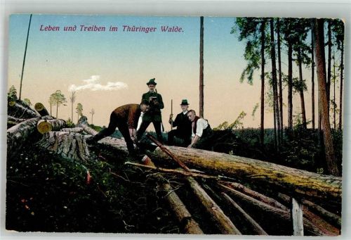 Leben und Treiben im Thüringer Wald Holzwirtschaft Beruf Holzfäller Verlag Gimm Nr- 1616 Forstwirtschaft