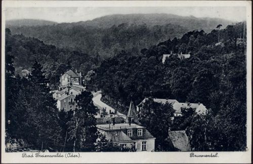 16259 O1310 Bad Freienwalde um 1940/50 - Bad Freienwalde: Ansicht Brunnental,Max O´Brien & Co AKU1