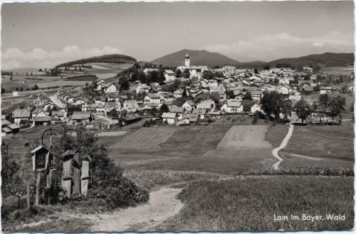 um 1960 Lam im Bayer. Wald.,Foto-Studio Löwenhag AKU1