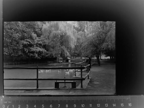 Bad Essen Mühlenteich