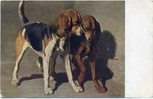 1926 2 Rassehunde, Nr. 23,E.A. Seemann
