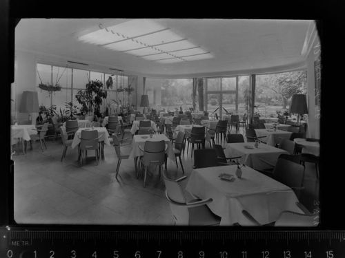 59597 W4782 Bad Westernkotten GLASNEGATIV Kurhaus Wintergarten