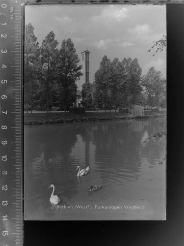 59269 W4720 Beckum , Westf GLASNEGATIV Parkanlagen Westteich
