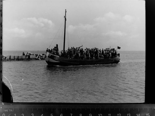 Unna Schiff
