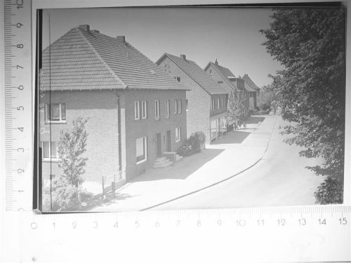 Beelen