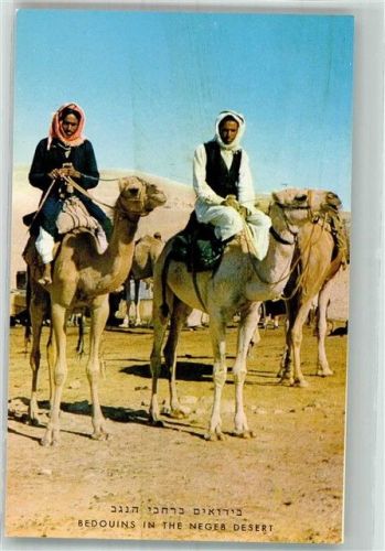 Kairo Tracht Beduinen Kamel