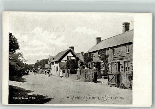 Shropshire At Ashford Caronell