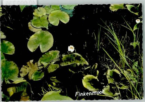 Cuxhaven Finkenmoor