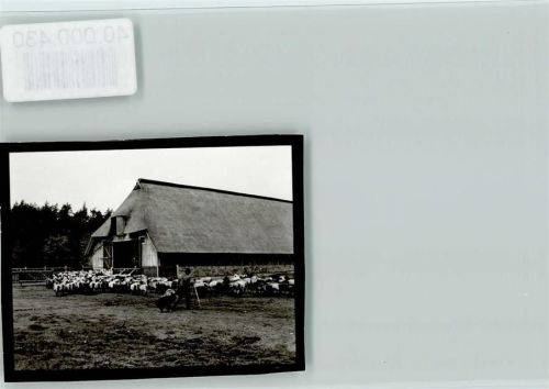 Inzmühlen Schafstall, Reetdach, Schäfer