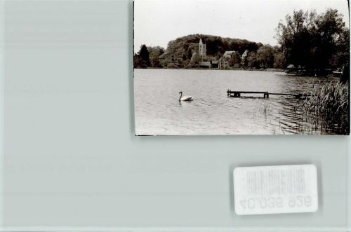Weßling See Schwan
