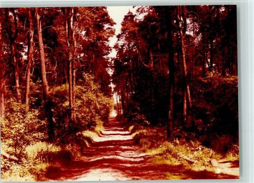 Ahsen Waldweg