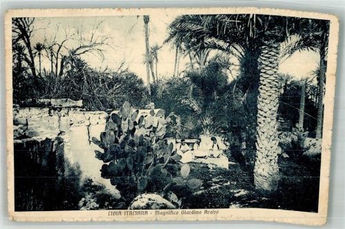 Tripolis 1916 Libia -Italiana Magnifico Girardino Arabo