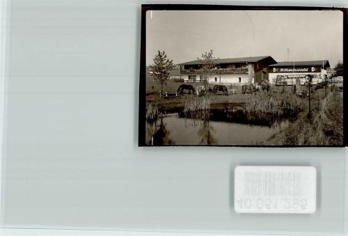 Warzenried Hotel Böhmerwald Bus TeichPonys