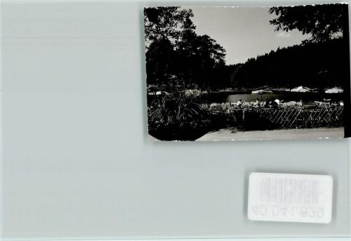 Ebnisee