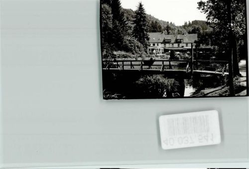 Manderscheid Heidsmühle Teich Brücke