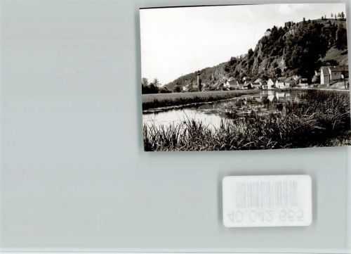 Schmidmühlen Seerosen