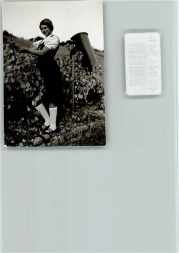 Ingelfingen Weinlese
