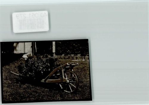 Warzenried bepflanzte Schubkarre